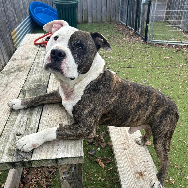 Dr. House thumbnail 5