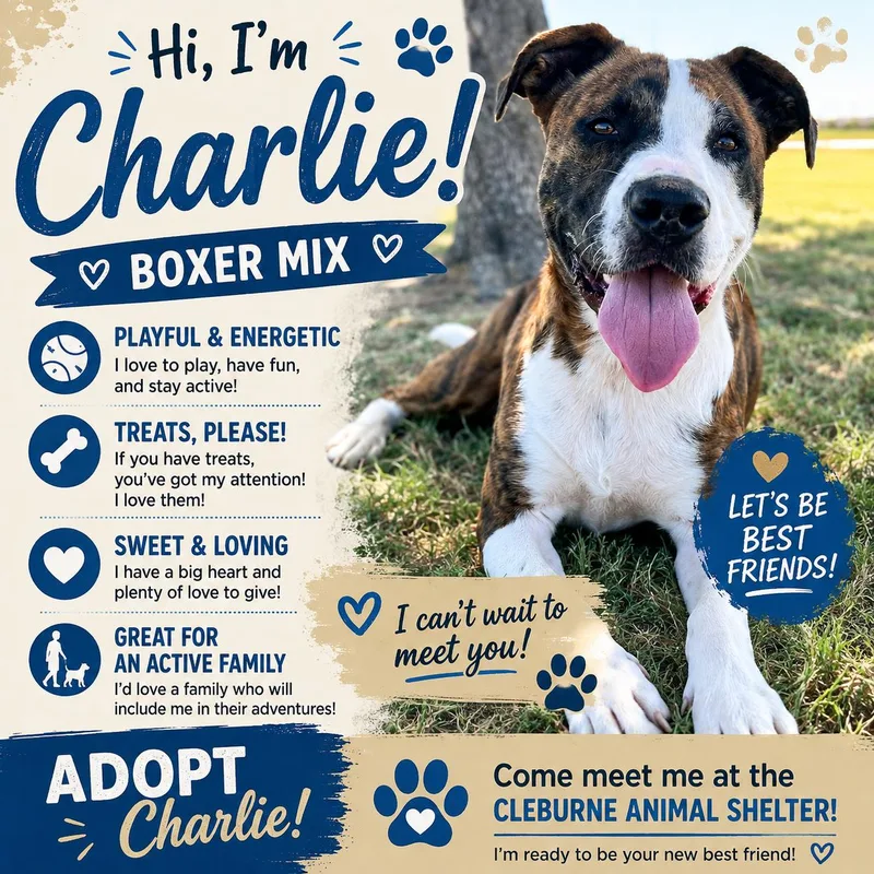 Charlie thumbnail 3