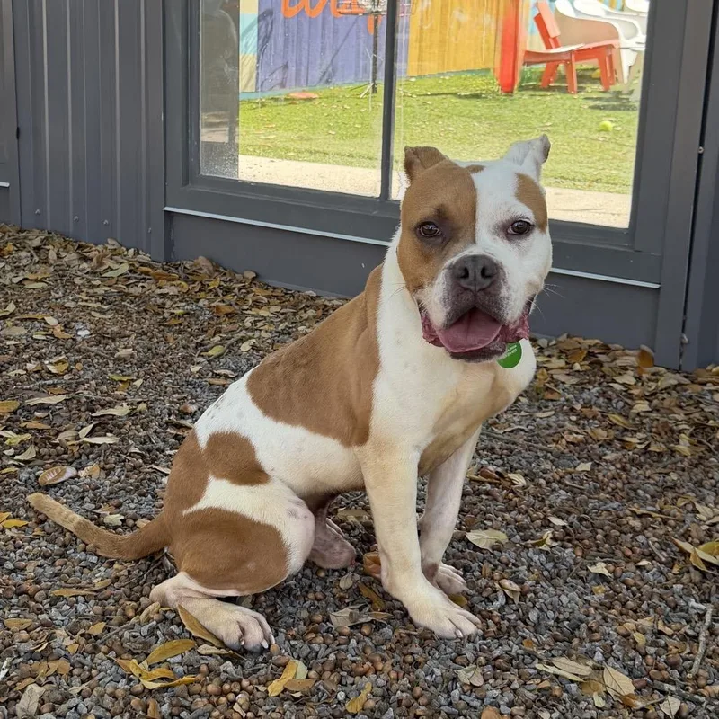 Bayou John thumbnail 2