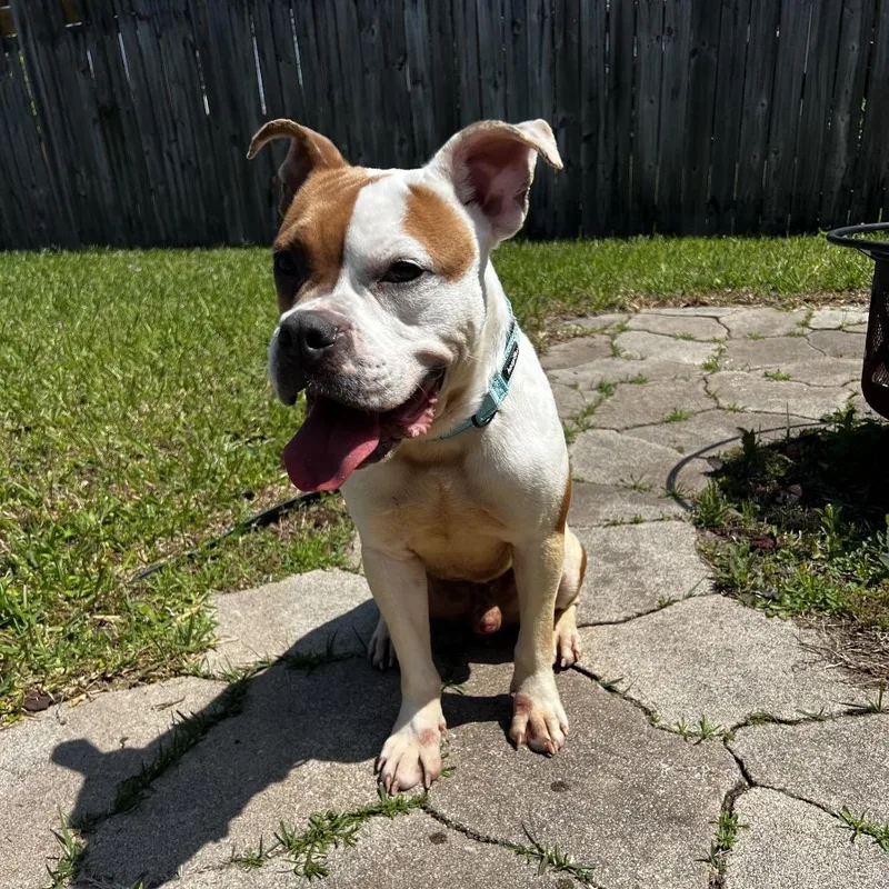 Bayou John thumbnail 3