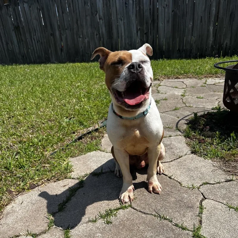 Bayou John thumbnail 4