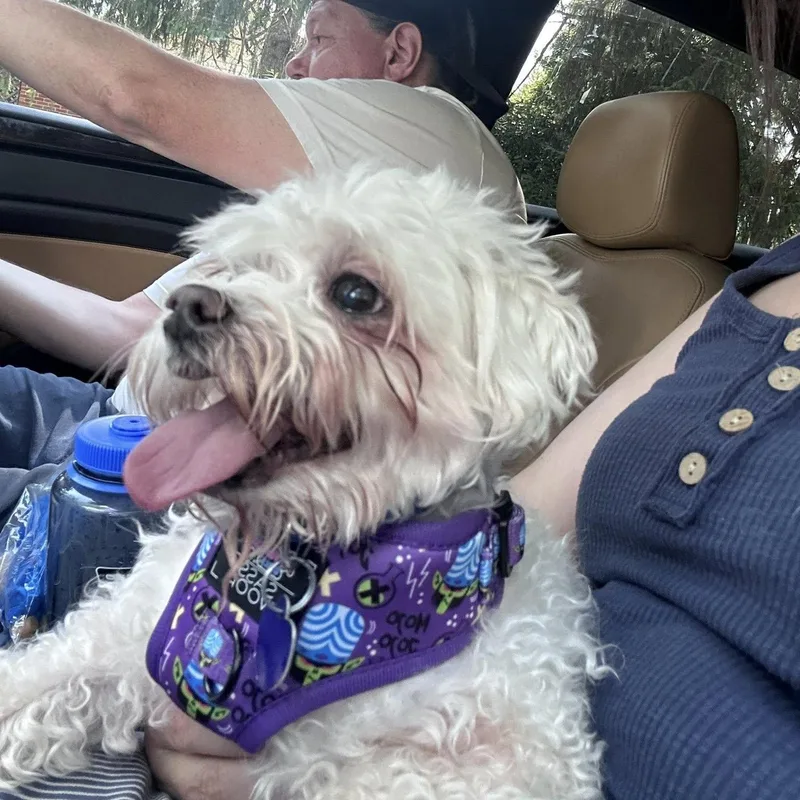 Casper thumbnail 5