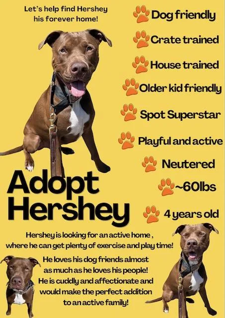 Hershey thumbnail 6