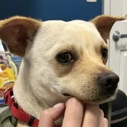 Edgar thumbnail 2