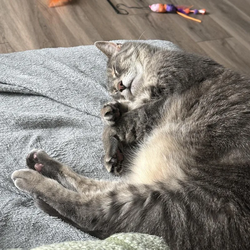 Zoey thumbnail 3