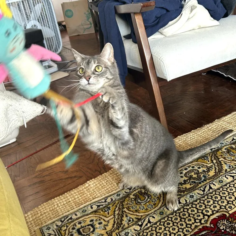 Zoey thumbnail 5