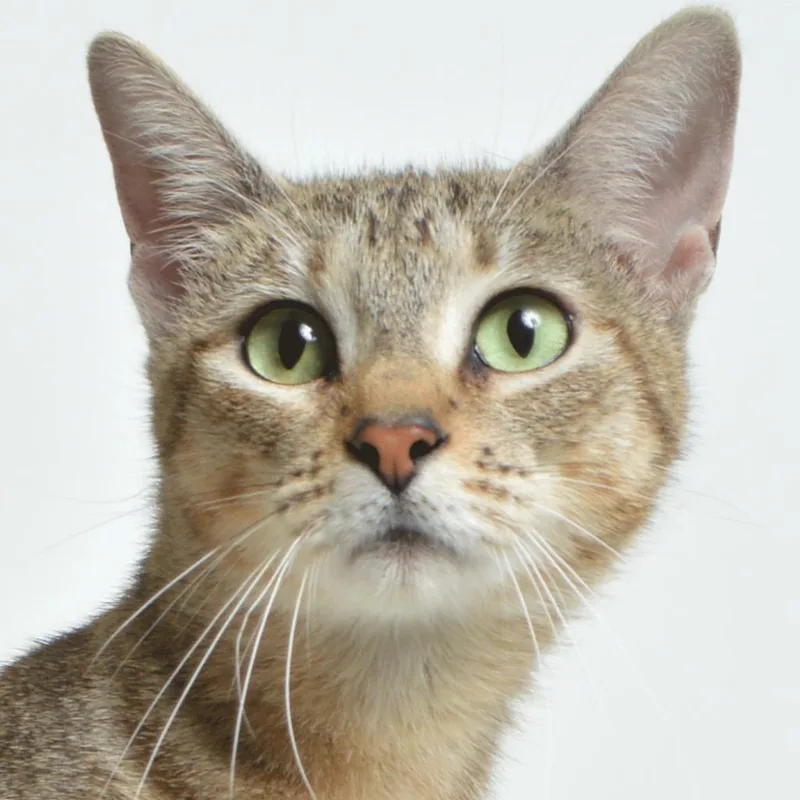 Samantha thumbnail 2