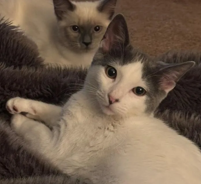 Taylor Swift thumbnail 3