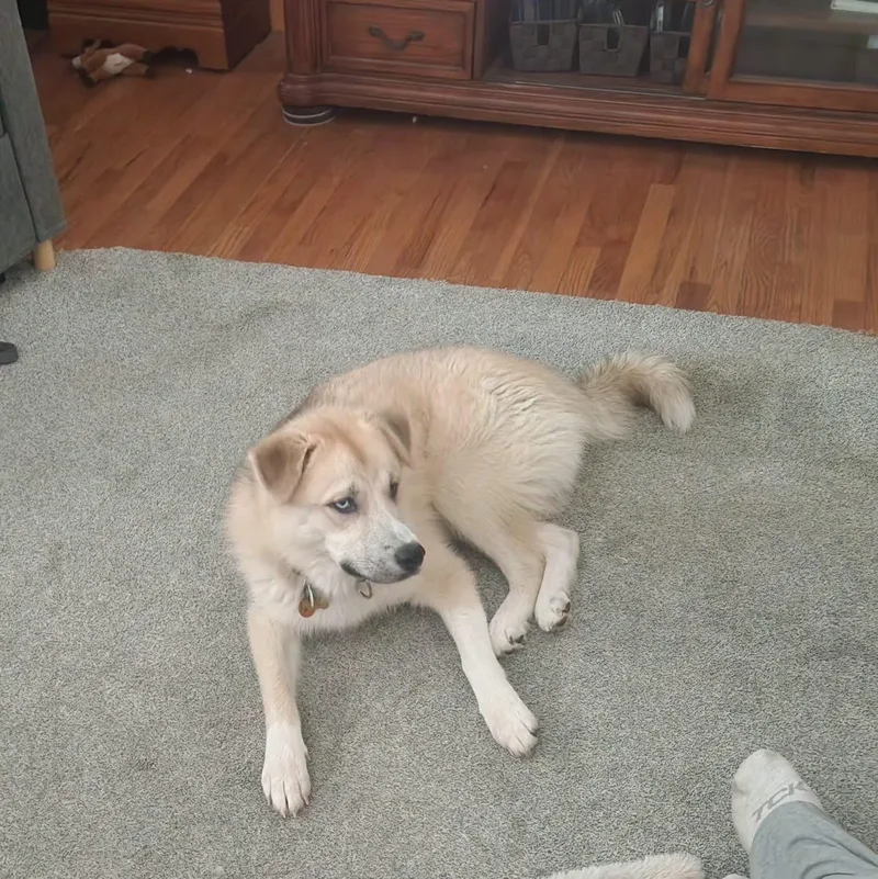 Bailey thumbnail 3