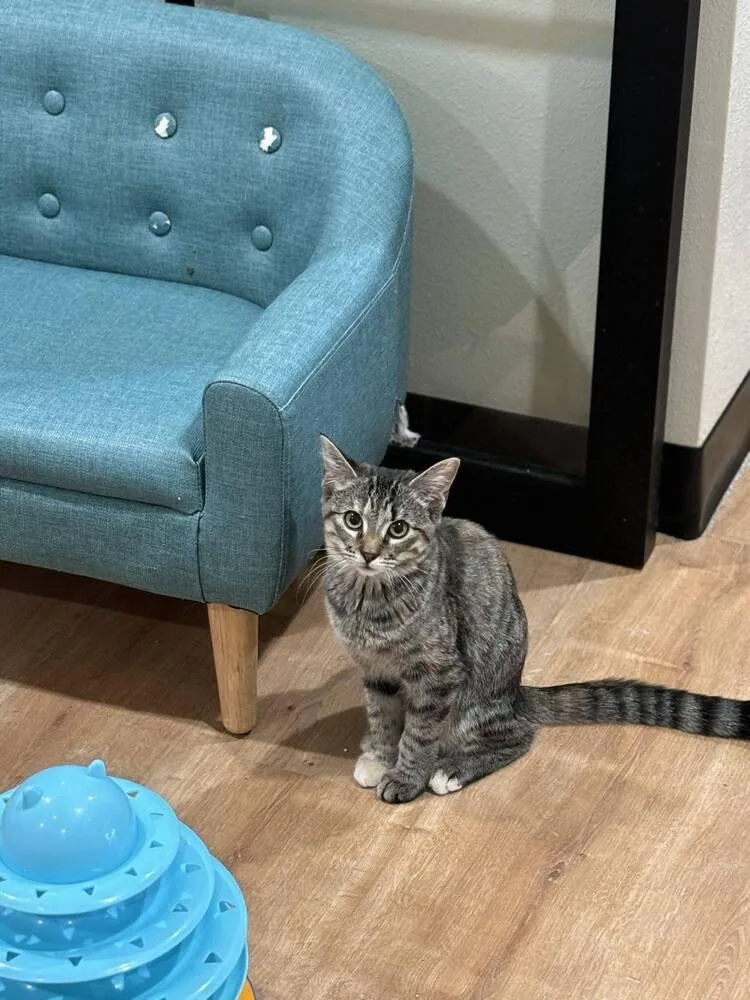 Hannah Solo thumbnail 3