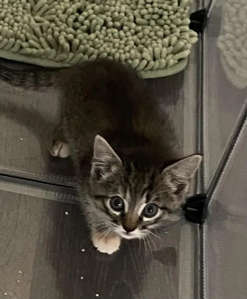 Hannah Solo thumbnail 6