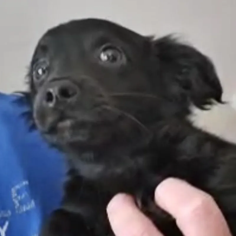 Mitch thumbnail 6