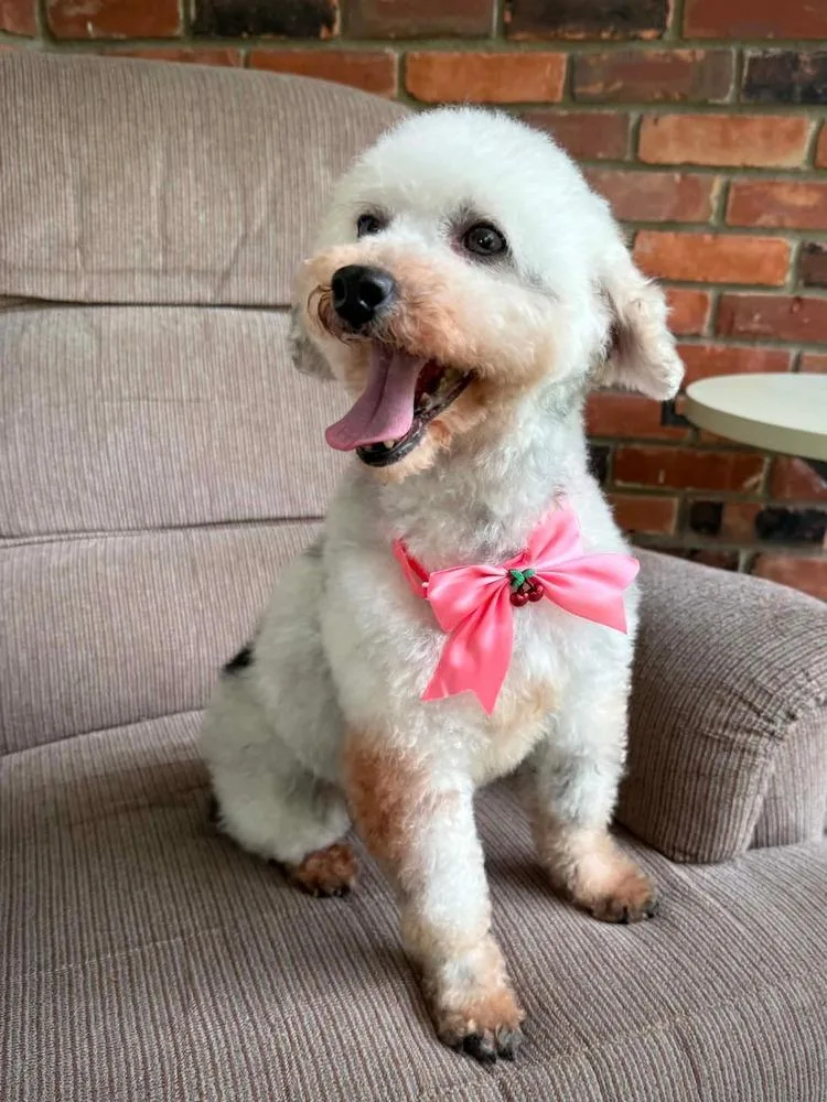 Daisy Mae thumbnail 2