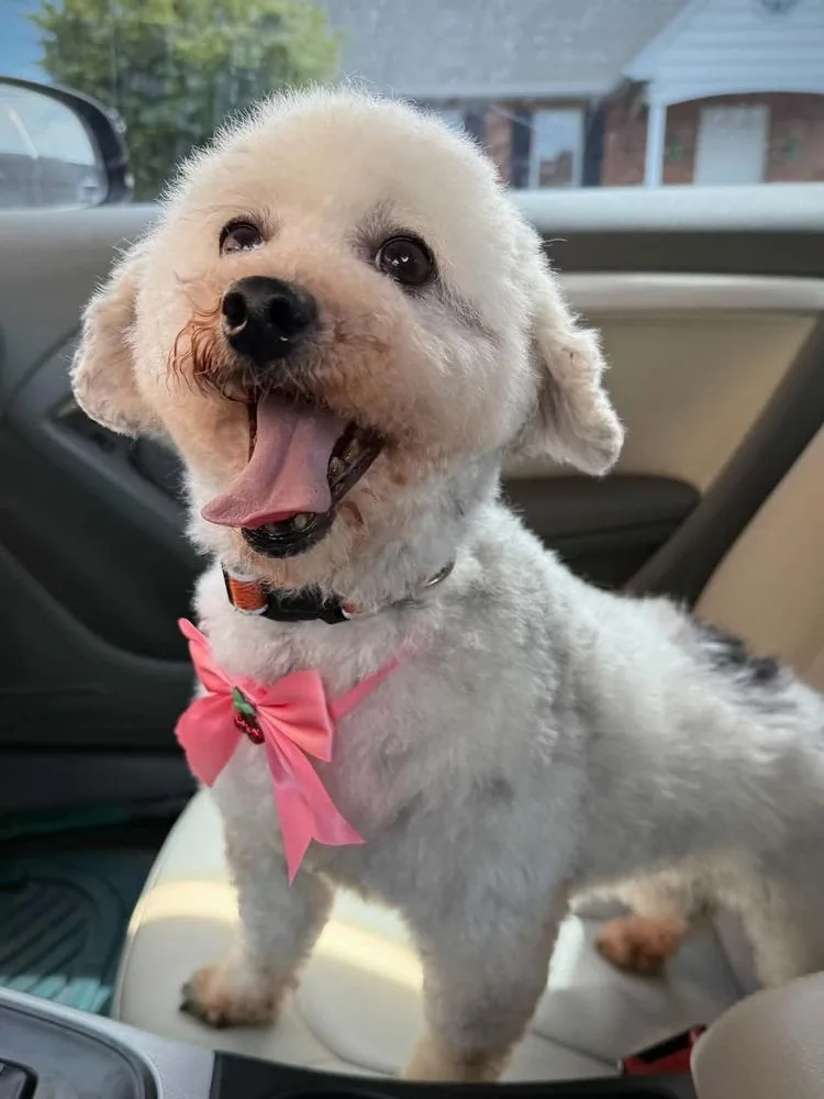 Daisy Mae thumbnail 3