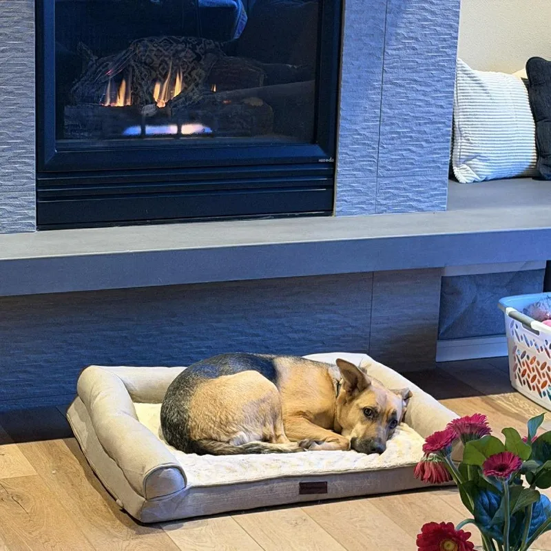 Marianne thumbnail 2