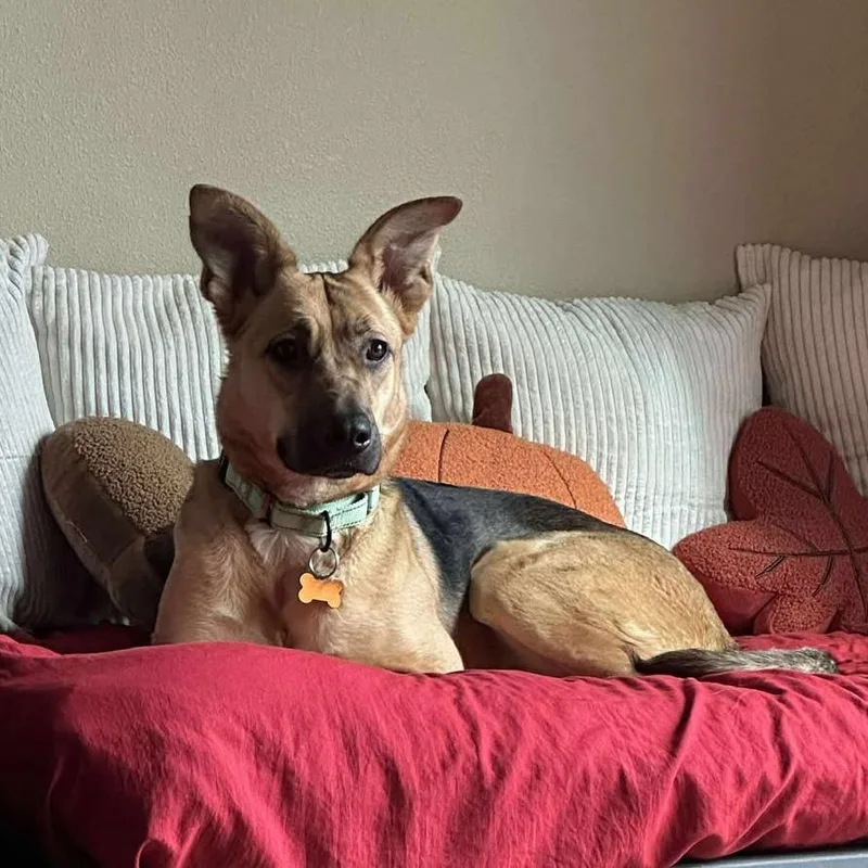 Marianne thumbnail 3