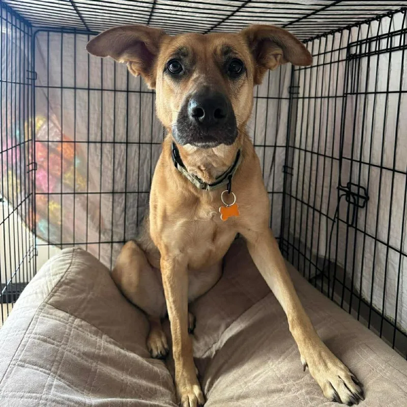 Marianne thumbnail 4