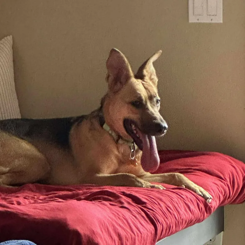 Marianne thumbnail 5