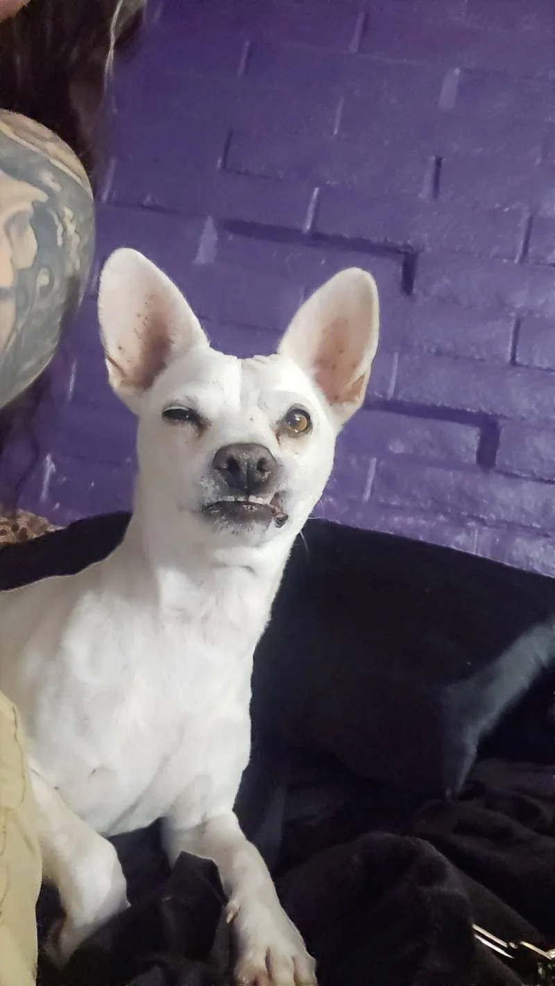 Casper