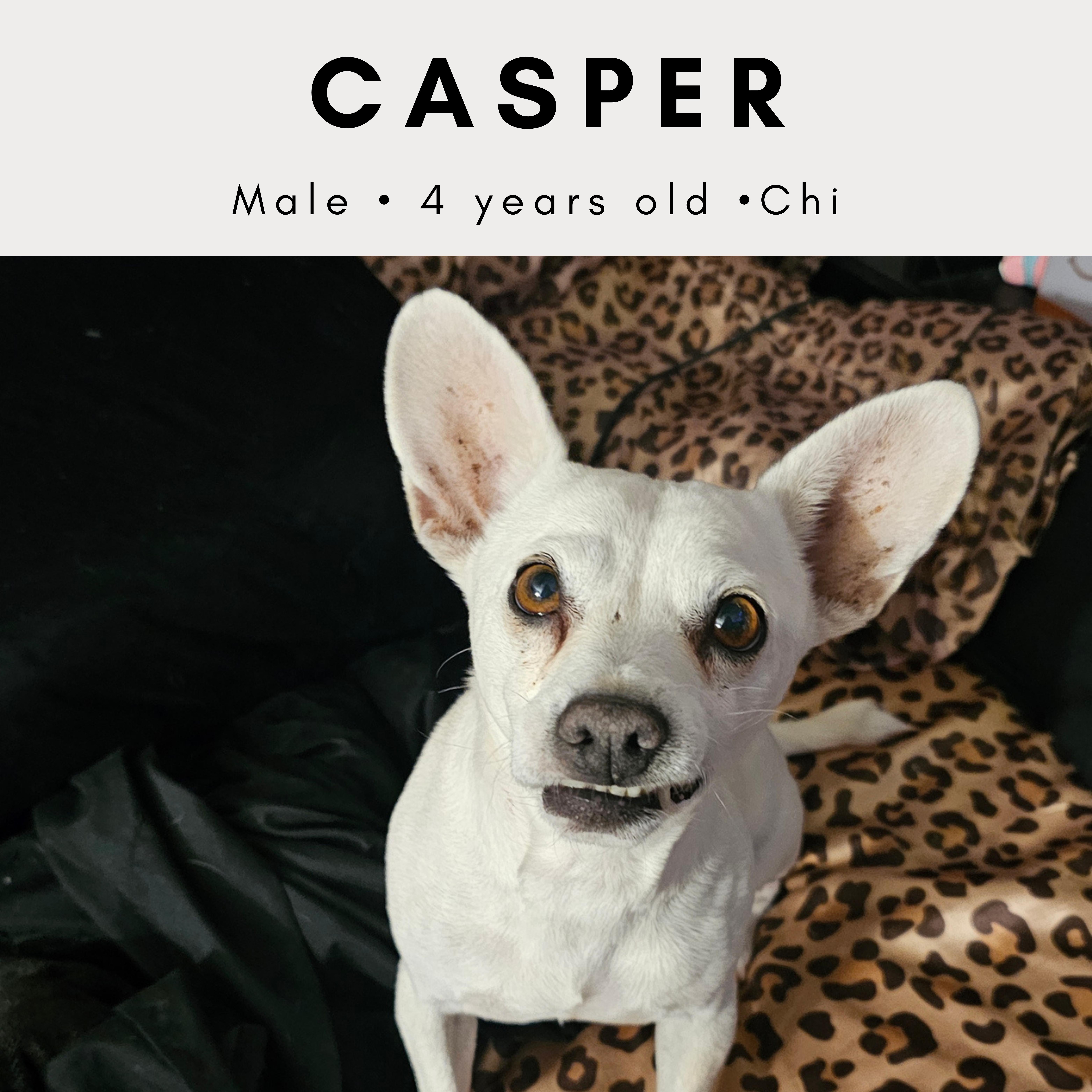 Casper thumbnail 2