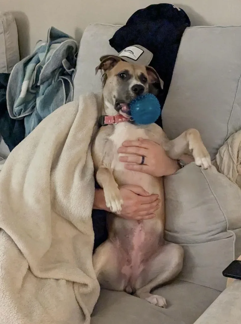 Lucky Clover thumbnail 2