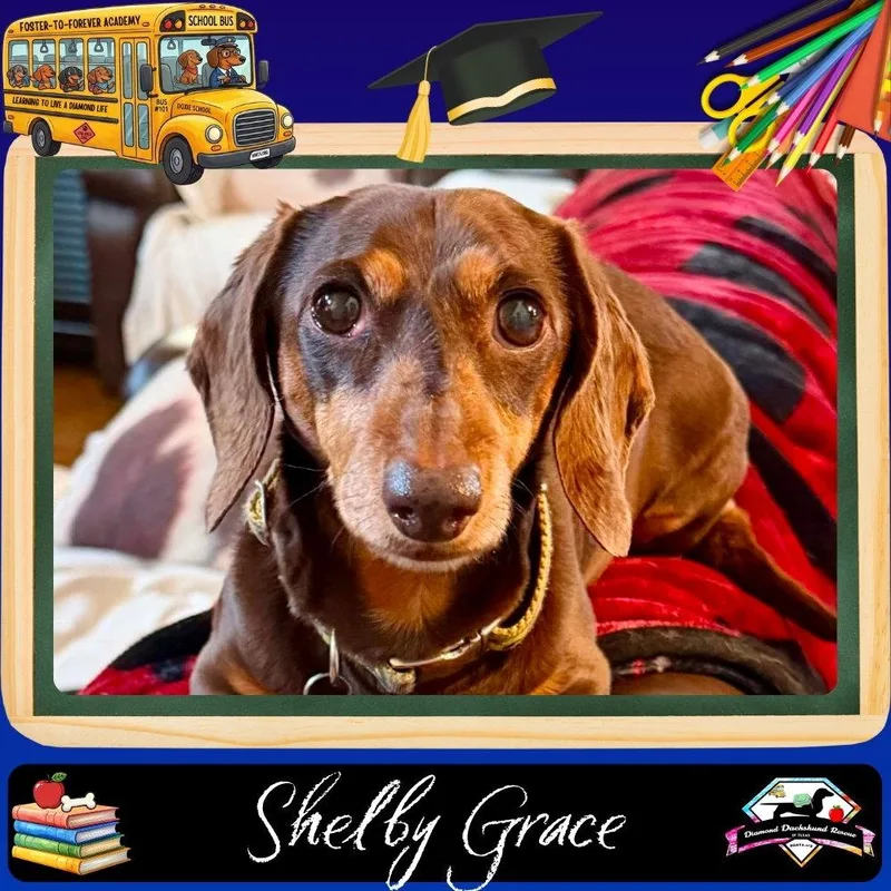 Shelby Grace thumbnail 3