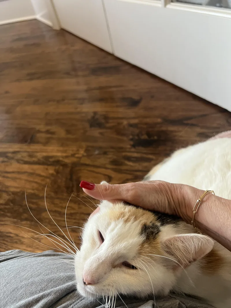 Coconut thumbnail 2