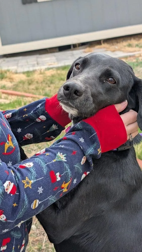 Patricia thumbnail 2