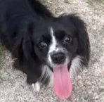 Macy  Maybe Me? thumbnail 3