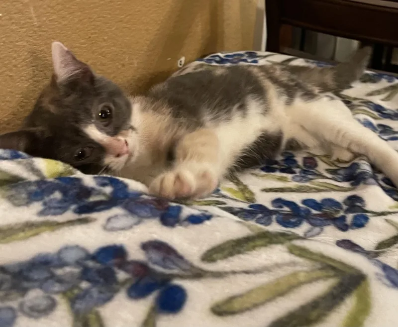Sasha thumbnail 2