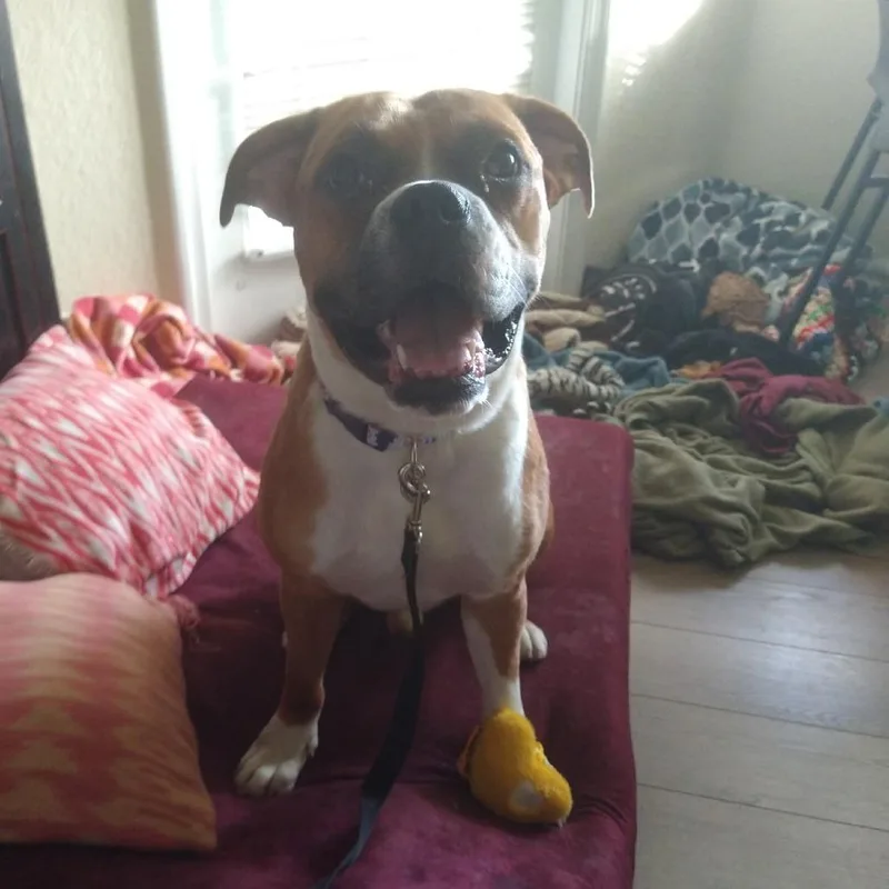Barry