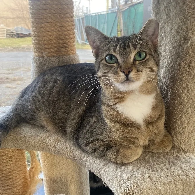 Murphie And Marina Bonded thumbnail 2