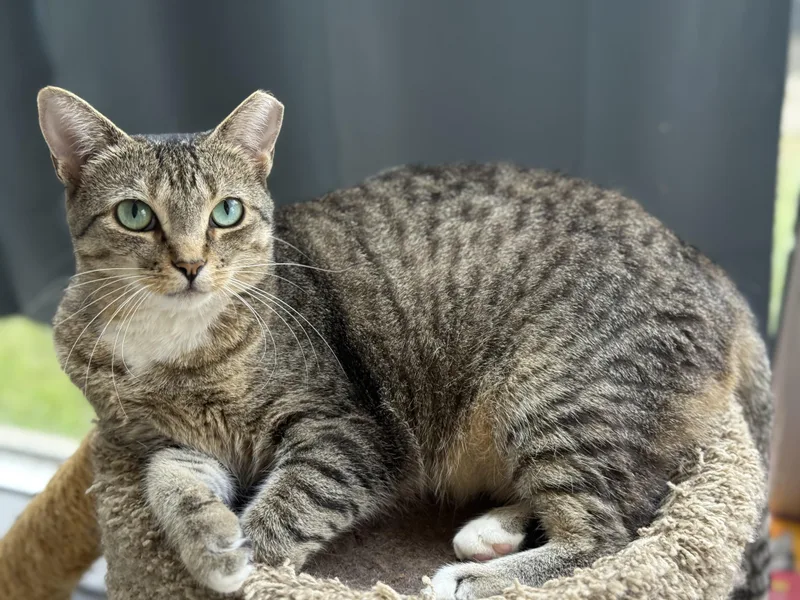 Murphie And Marina Bonded thumbnail 3