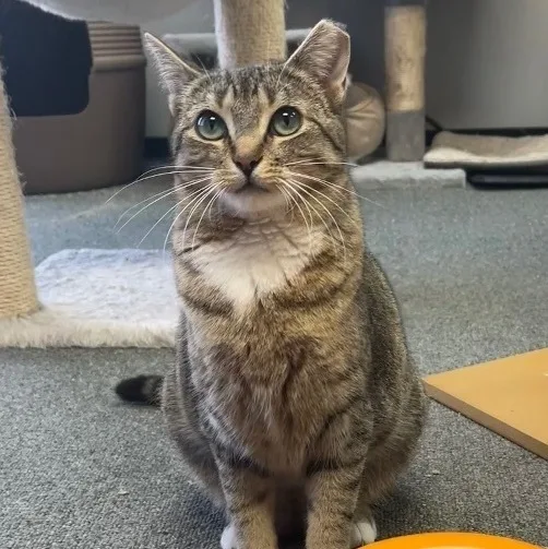 Murphie And Marina Bonded thumbnail 4