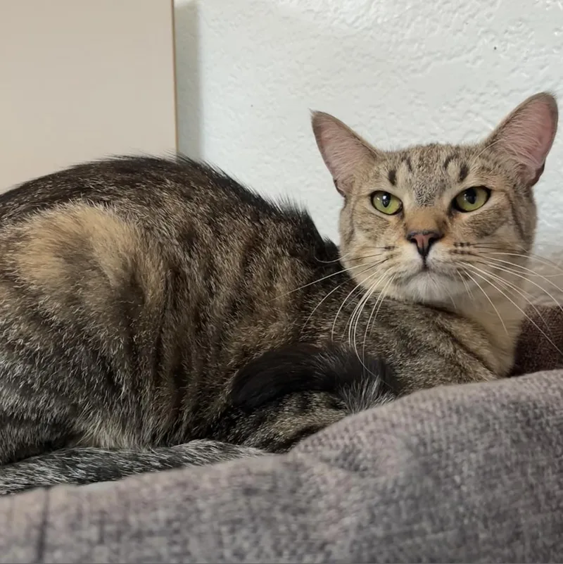 Charles Darwin thumbnail 2