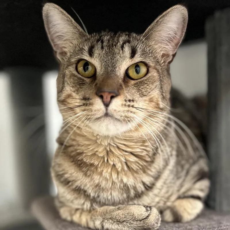 Charles Darwin thumbnail 3