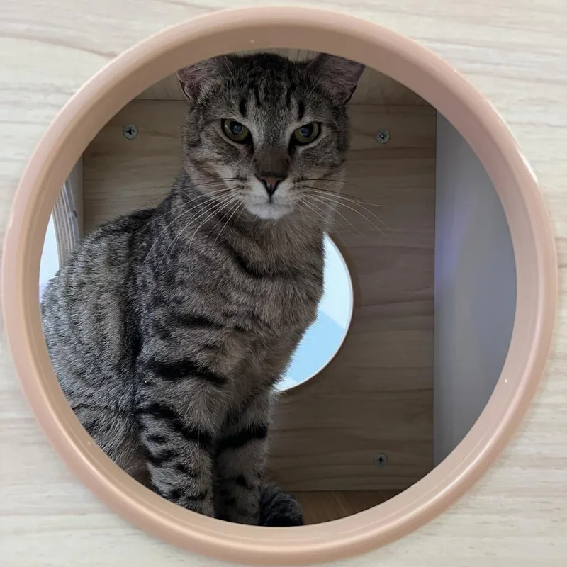 Charles Darwin thumbnail 5