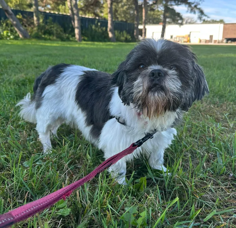KonaMeet me on Oct thumbnail 5