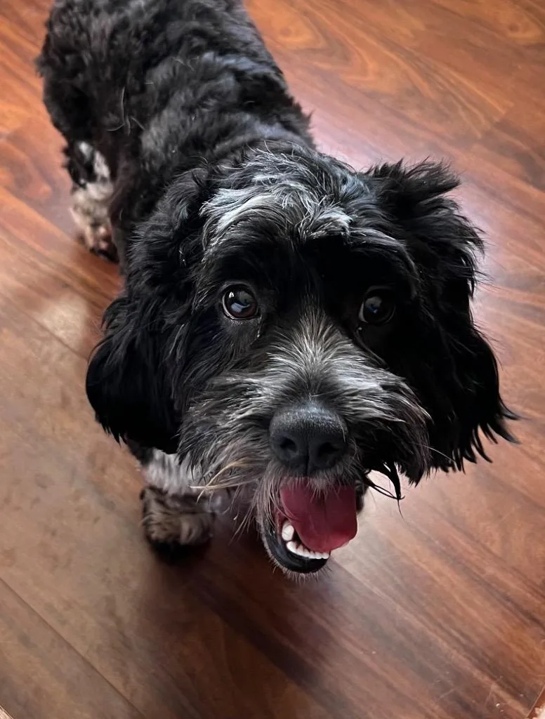 Albert