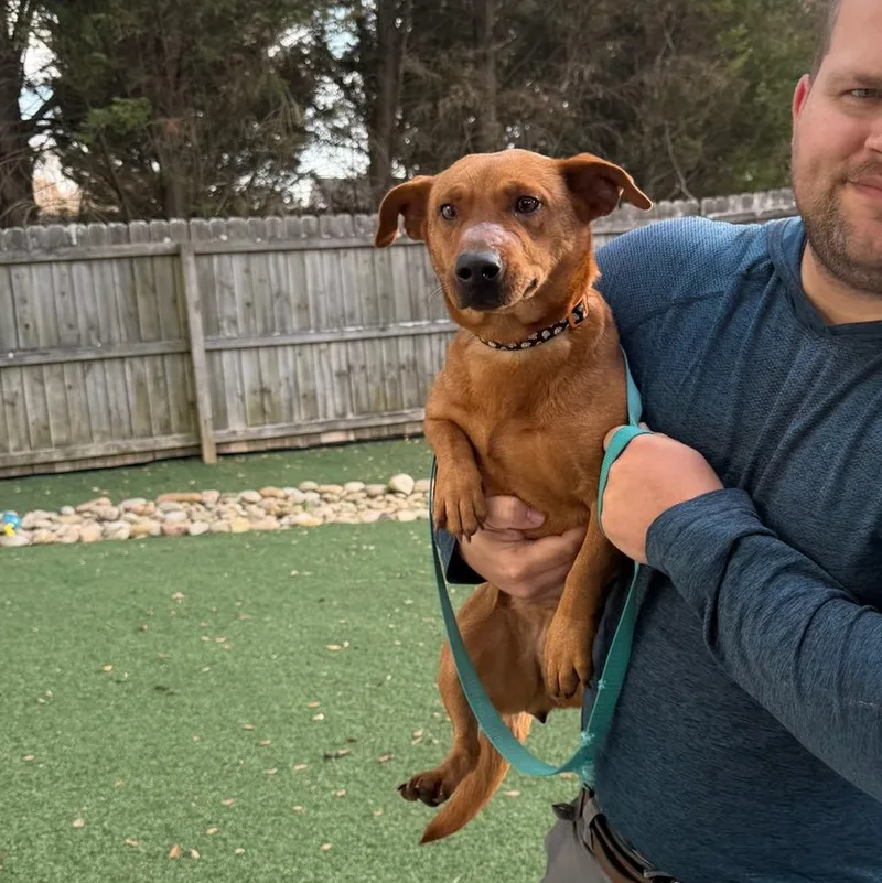 Ruby  Velcro Alert!!