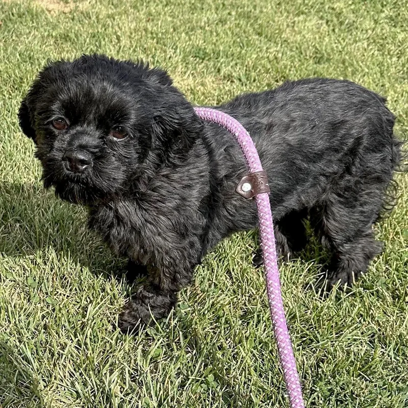 Ewa Needs A Forever thumbnail 3