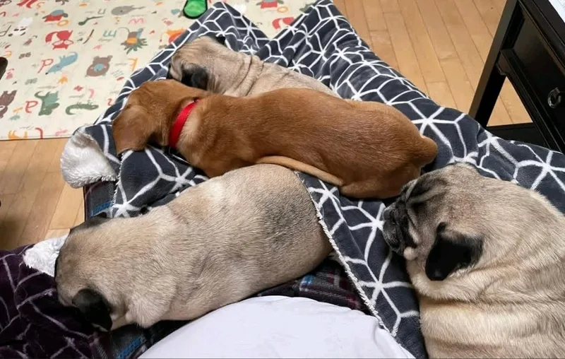 Sir Benedict Cadbury thumbnail 2