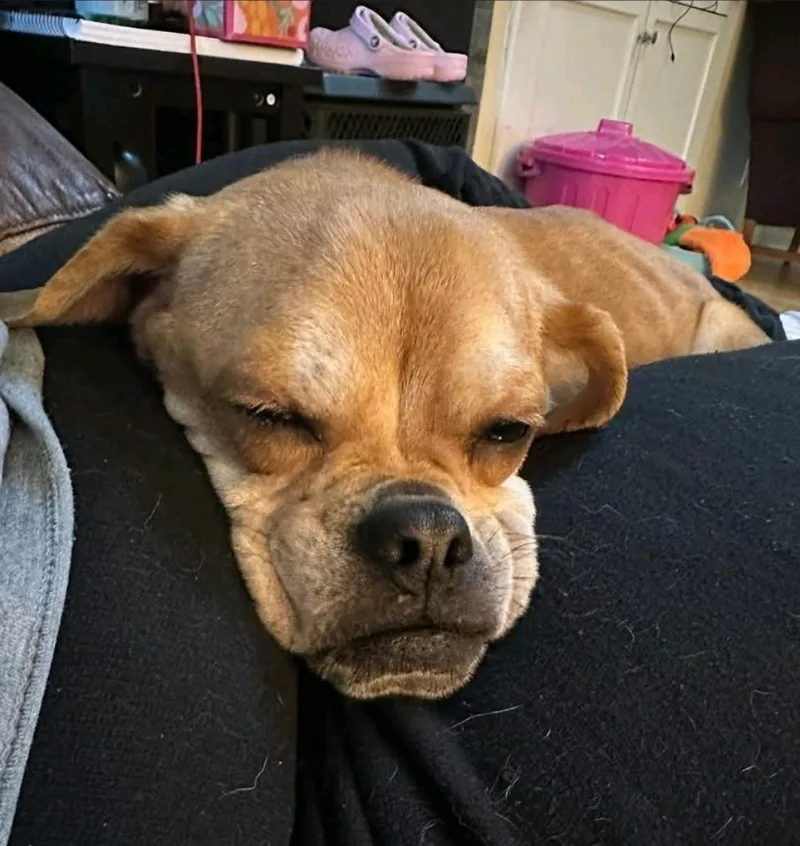 Sir Benedict Cadbury thumbnail 3