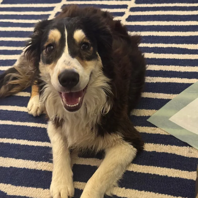 Gwendalyn thumbnail 2