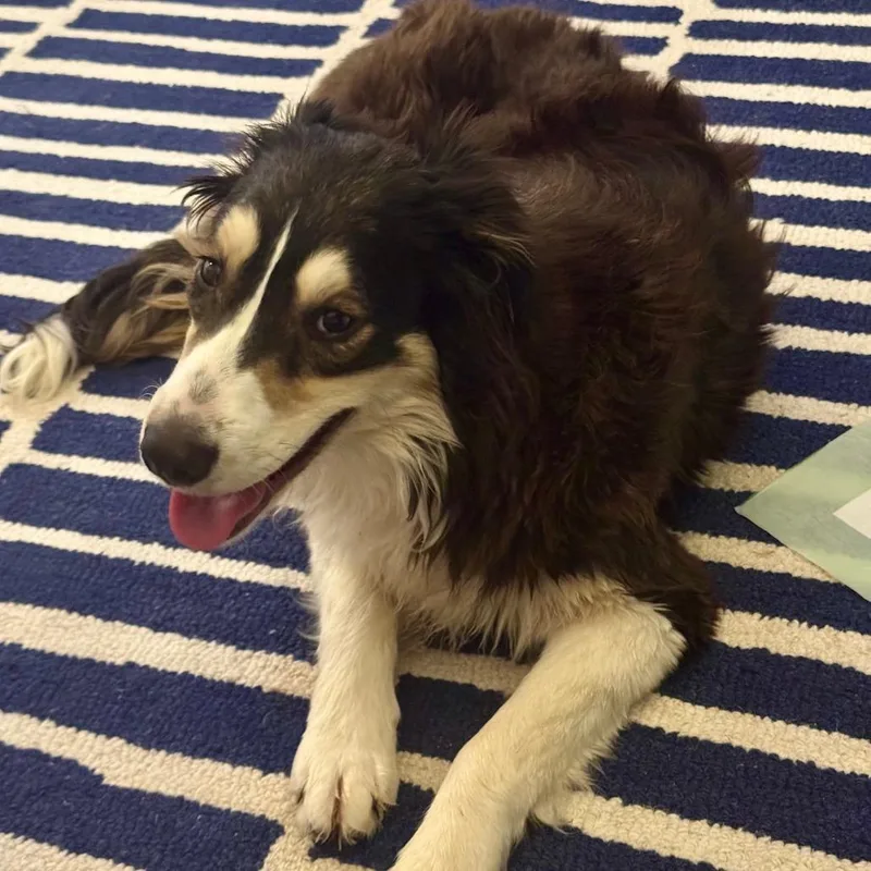 Gwendalyn thumbnail 3