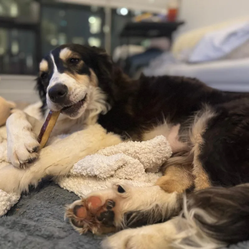 Gwendalyn thumbnail 4