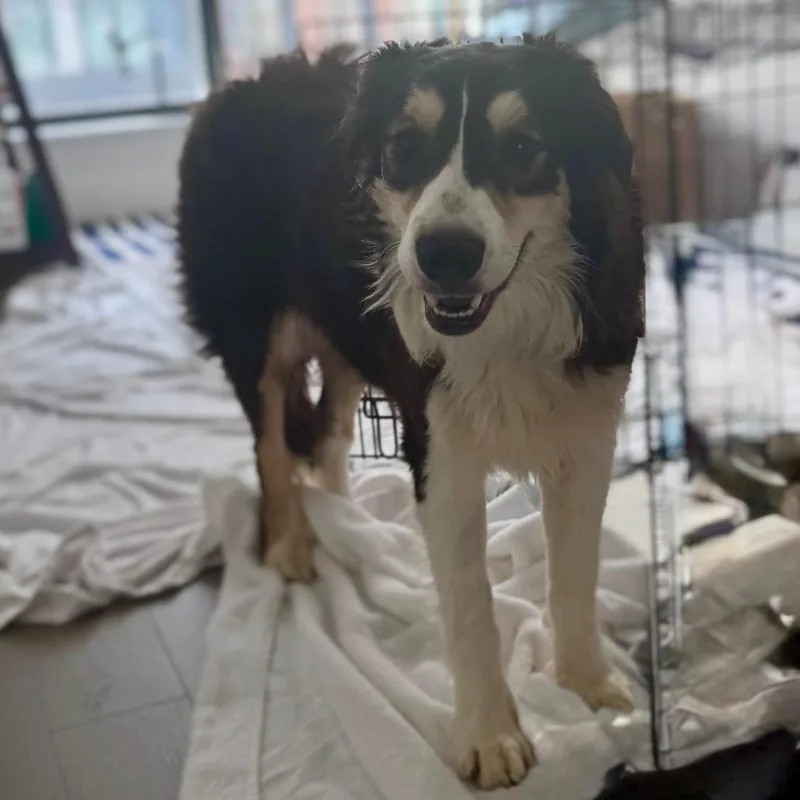 Gwendalyn thumbnail 5