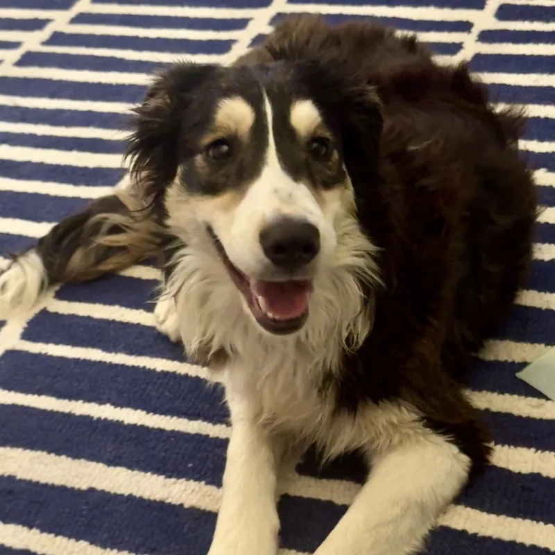 Gwendalyn thumbnail 6