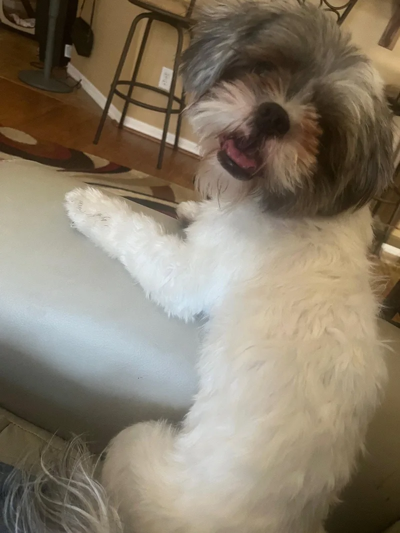 Precious thumbnail 2