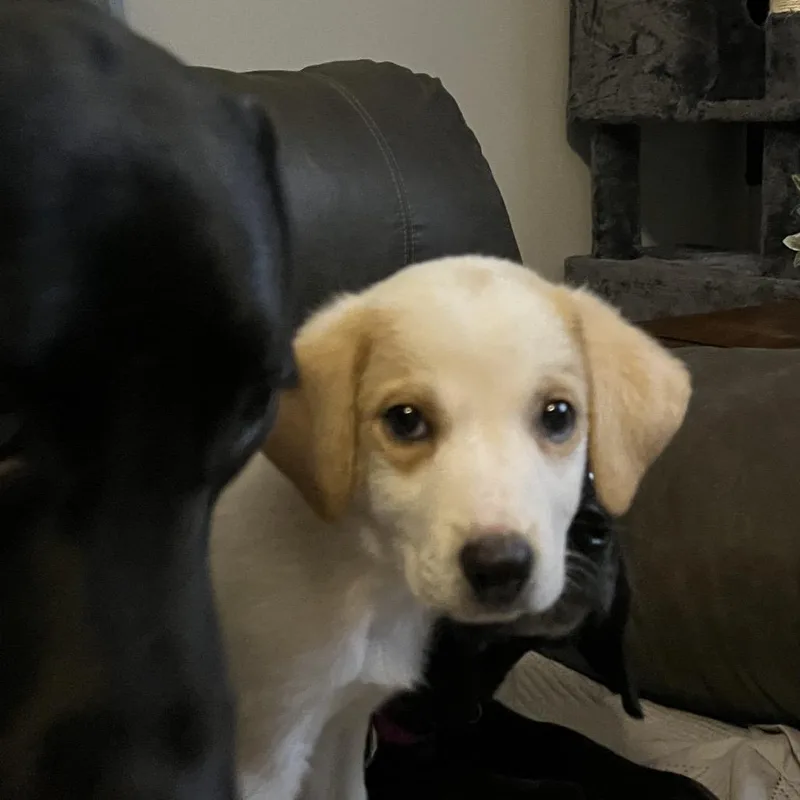 Maisey thumbnail 2